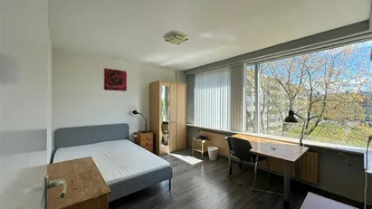 Room for rent in Rotterdam