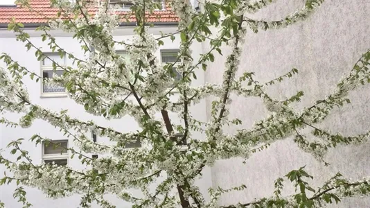 Apartments in Berlin Neukölln - photo 8