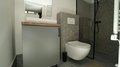 Apartment for rent in Budapest Erzsébetváros, Budapest