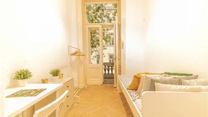 Room for rent in Budapest Terézváros, Budapest