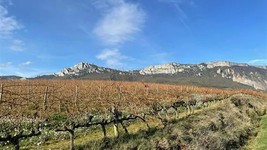 Rooms in Sojuela - photo 9