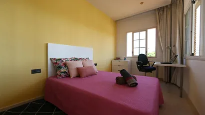 Room for rent in Castellón de la Plana/Castelló de la Plana, Comunidad Valenciana