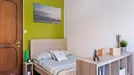 Room for rent, Bologna, Emilia-Romagna, Viale Giovanni Vicini