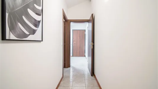 Rooms in Padua - photo 5