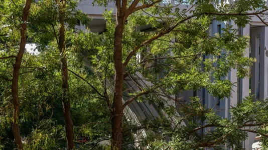 Rooms in Madrid Arganzuela - photo 6