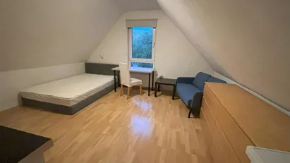 Room for rent in Rotterdam