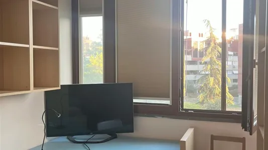 Rooms in Roma Municipio VIII – Appia Antica - photo 2