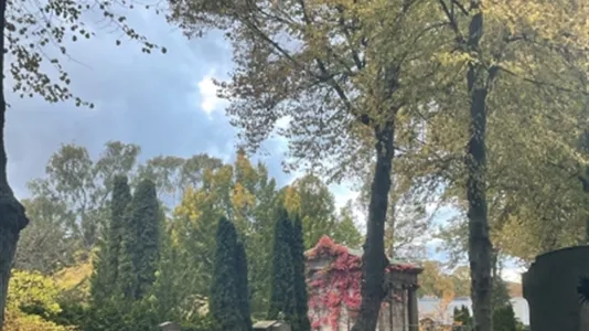 Apartments in Malmö City - photo 10