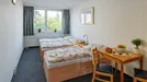 Room for rent, Prague, Kutilova