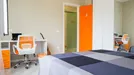 Room for rent, Pisa, Toscana, Via Padre Felice Prinetti