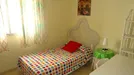 Room for rent, Córdoba, Andalucía, Calle Músico Ziryab