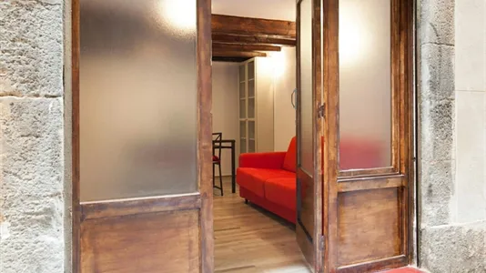 Apartments in Barcelona Ciutat Vella - photo 8