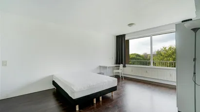 Room for rent in Rotterdam
