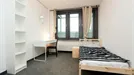 Room for rent, Frankfurt Innenstadt I, Frankfurt (region), Weserstraße