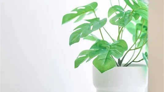 Apartments in Stad Brussel - photo 10