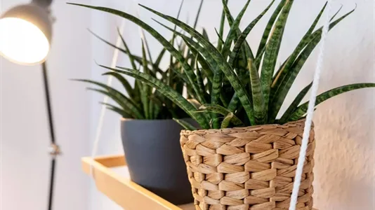 Apartments in Wuppertal - photo 7