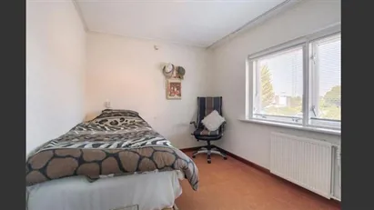 Room for rent in Middelburg, Zeeland