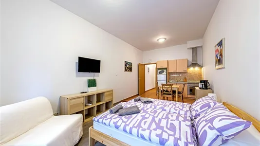 Apartments in Budapest Erzsébetváros - photo 2