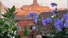 Apartment for rent, Stad Brussel, Brussels, &lt;span class=&quot;blurred street&quot; onclick=&quot;ProcessAdRequest(13373103)&quot;&gt;&lt;span class=&quot;hint&quot;&gt;See streetname&lt;/span&gt;[xxxxxxxxxxxxx]&lt;/span&gt;