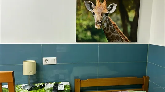 Apartments in Barcelona Les Corts - photo 1