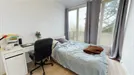 Room for rent, Nantes, Pays de la Loire, Rue de la Patouillerie