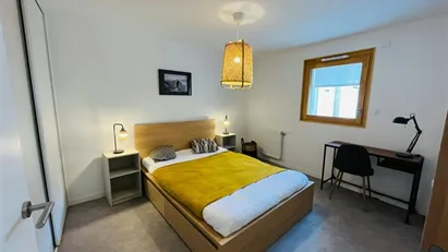 Room for rent in Lyon, Auvergne-Rhône-Alpes
