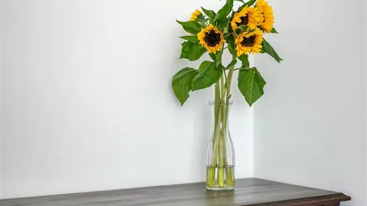 Rooms in Location is not specified - photo 7