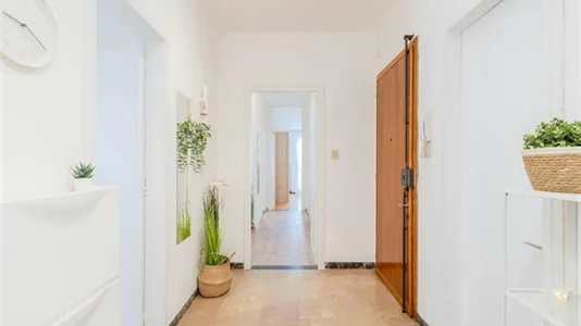 Rooms in Padua - photo 7