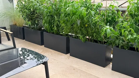 Rooms in Athens Agios Nikolaos - photo 7