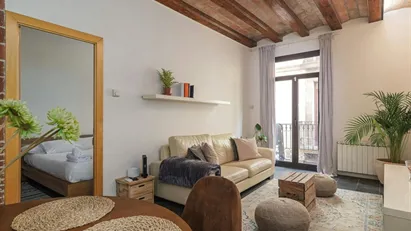 Apartment for rent in Barcelona Ciutat Vella, Barcelona