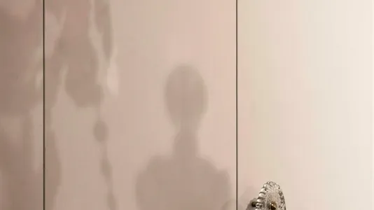 Apartments in Turin - photo 8