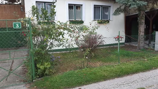 Houses in Vienna Donaustadt - photo 7