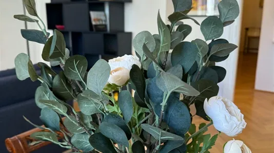 Apartments in Vienna Landstraße - photo 8