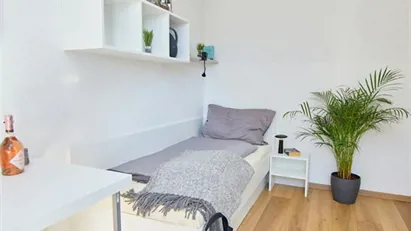 Room for rent in Vienna Donaustadt, Vienna