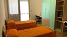 Room for rent, Ferrara, Emilia-Romagna, Via Pomposa