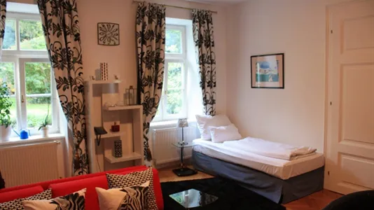 Apartments in Vienna Hietzing - photo 4