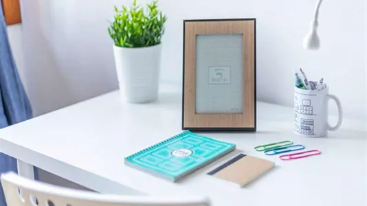 Rooms in Padua - photo 9