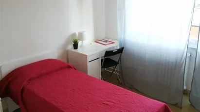 Room for rent in Florence, Toscana