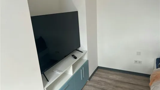 Apartments in Dresden - photo 10