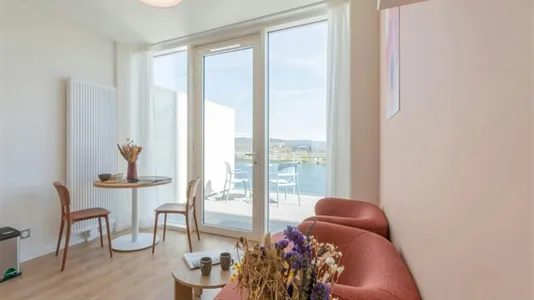 Apartments in Mulhouse - photo 7