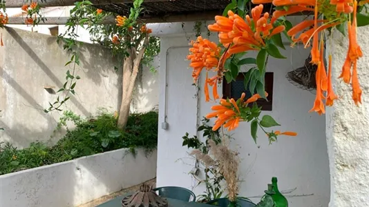 Houses in Odemira - photo 10