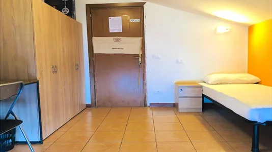 Rooms in Roma Municipio XI – Arvalia/Portuense - photo 4