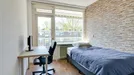 Room for rent, Rotterdam, Vennecoolstraat