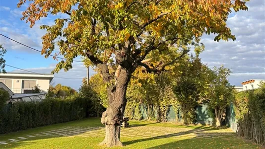 Houses in Vienna Floridsdorf - photo 6