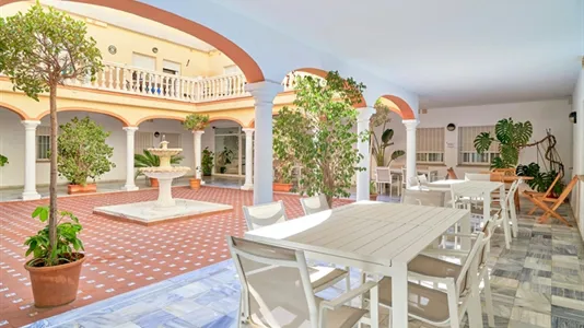 Apartments in Málaga - photo 9