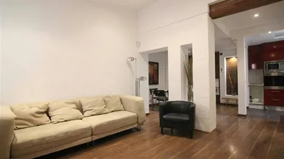 Apartment for rent in Barcelona Ciutat Vella, Barcelona