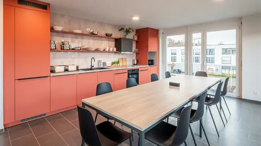 Apartments in Tübingen - photo 7