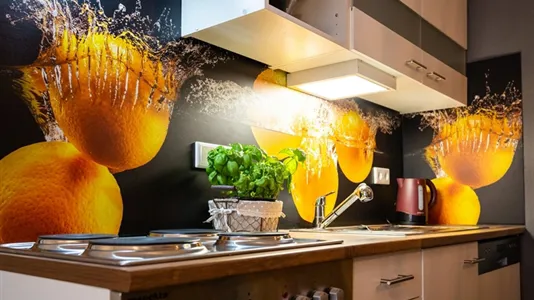 Apartments in Miltenberg - photo 5