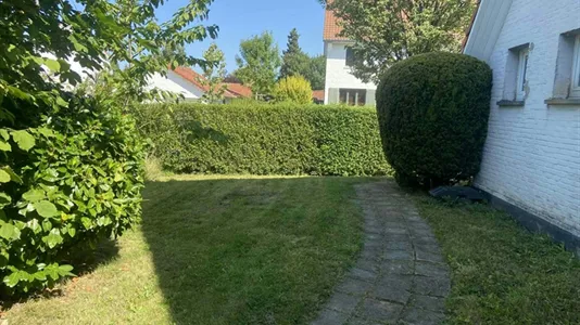 Rooms in Dilbeek - photo 5