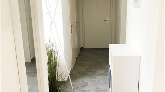 Rooms in Vienna Favoriten - photo 10